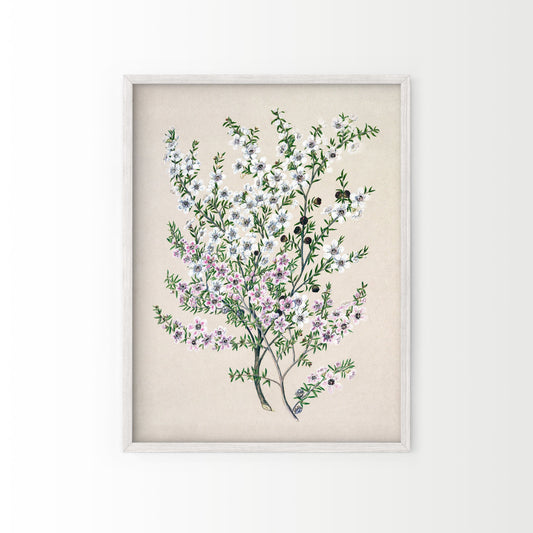 Vintage Roses Flower Print, Botanical Wall Art 10