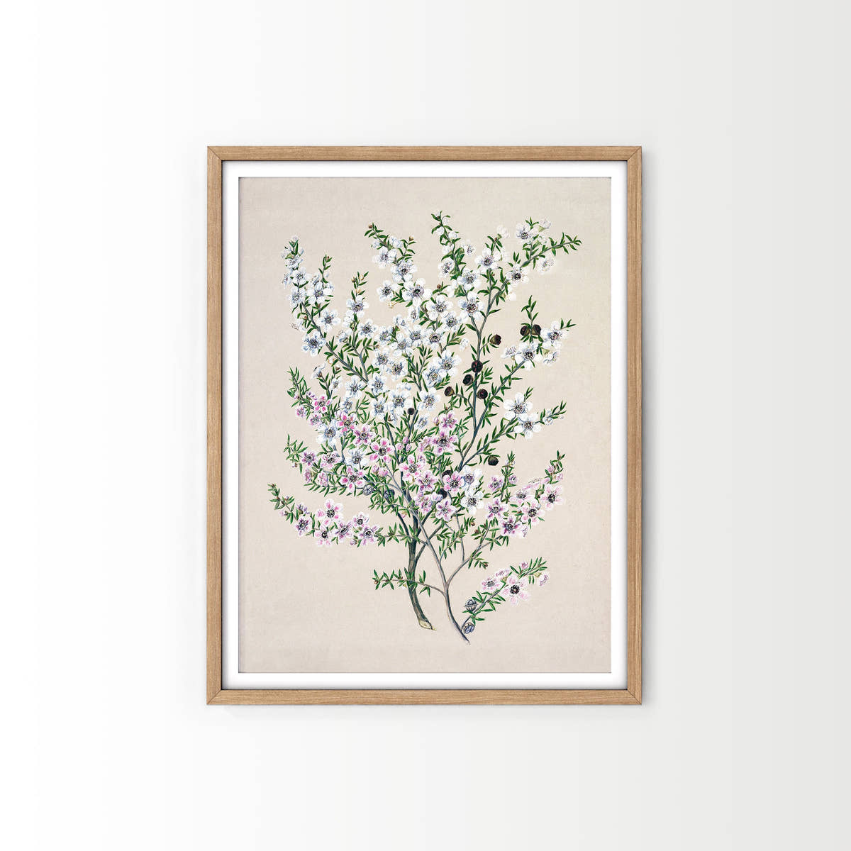 Vintage Roses Flower Print, Botanical Wall Art 10