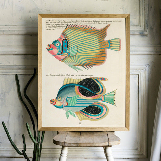 Vintage Under the Sea Poster, Coastal Wall Art, Fish Print