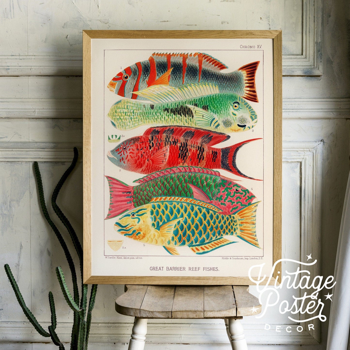 Vintage Under the Sea Poster, Coastal Wall Art, Fish Print