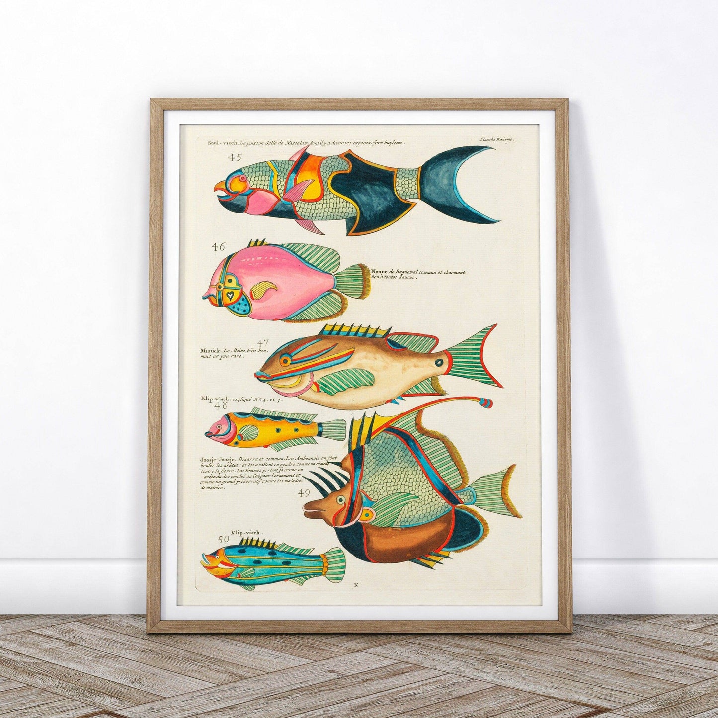 Vintage Under the Sea Poster, Coastal Wall Art, Fish Print