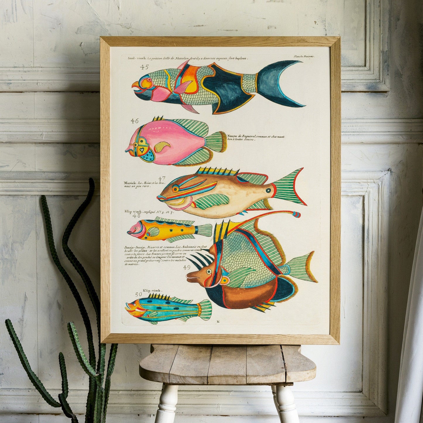 Vintage Under the Sea Poster, Coastal Wall Art, Fish Print