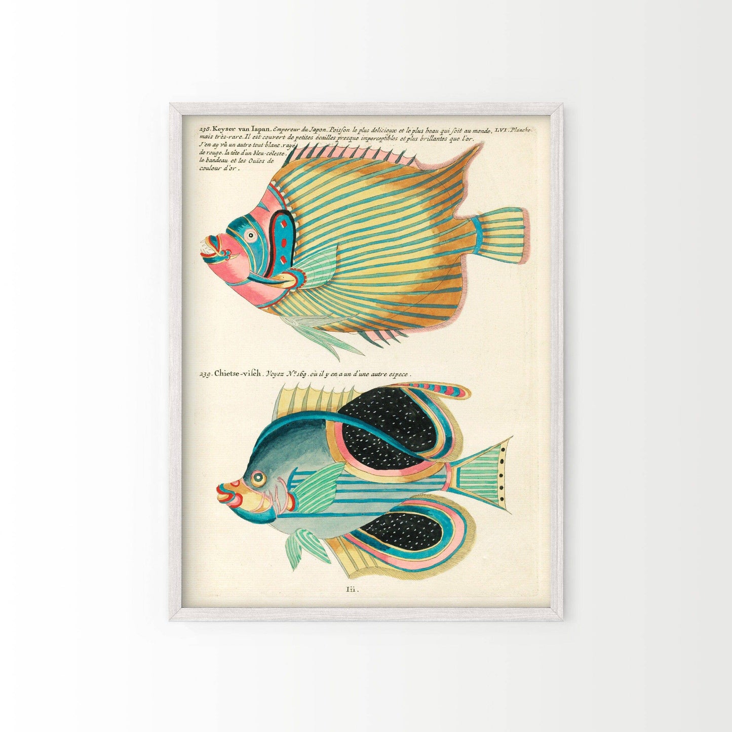Vintage Under the Sea Poster, Coastal Wall Art, Fish Print