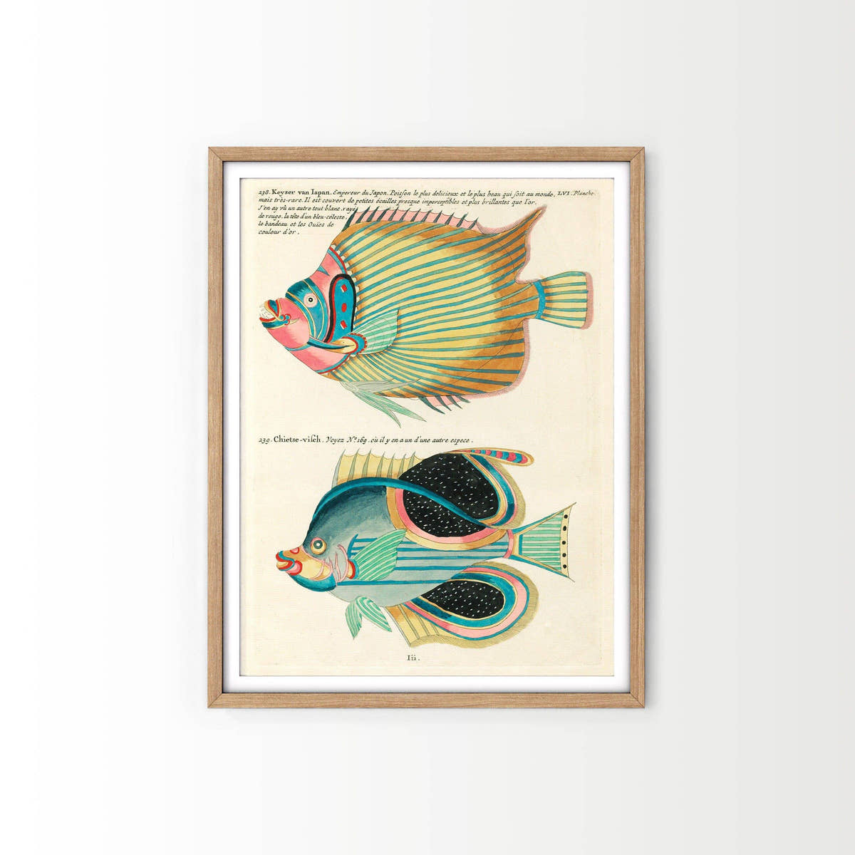 Vintage Under the Sea Poster, Coastal Wall Art, Fish Print