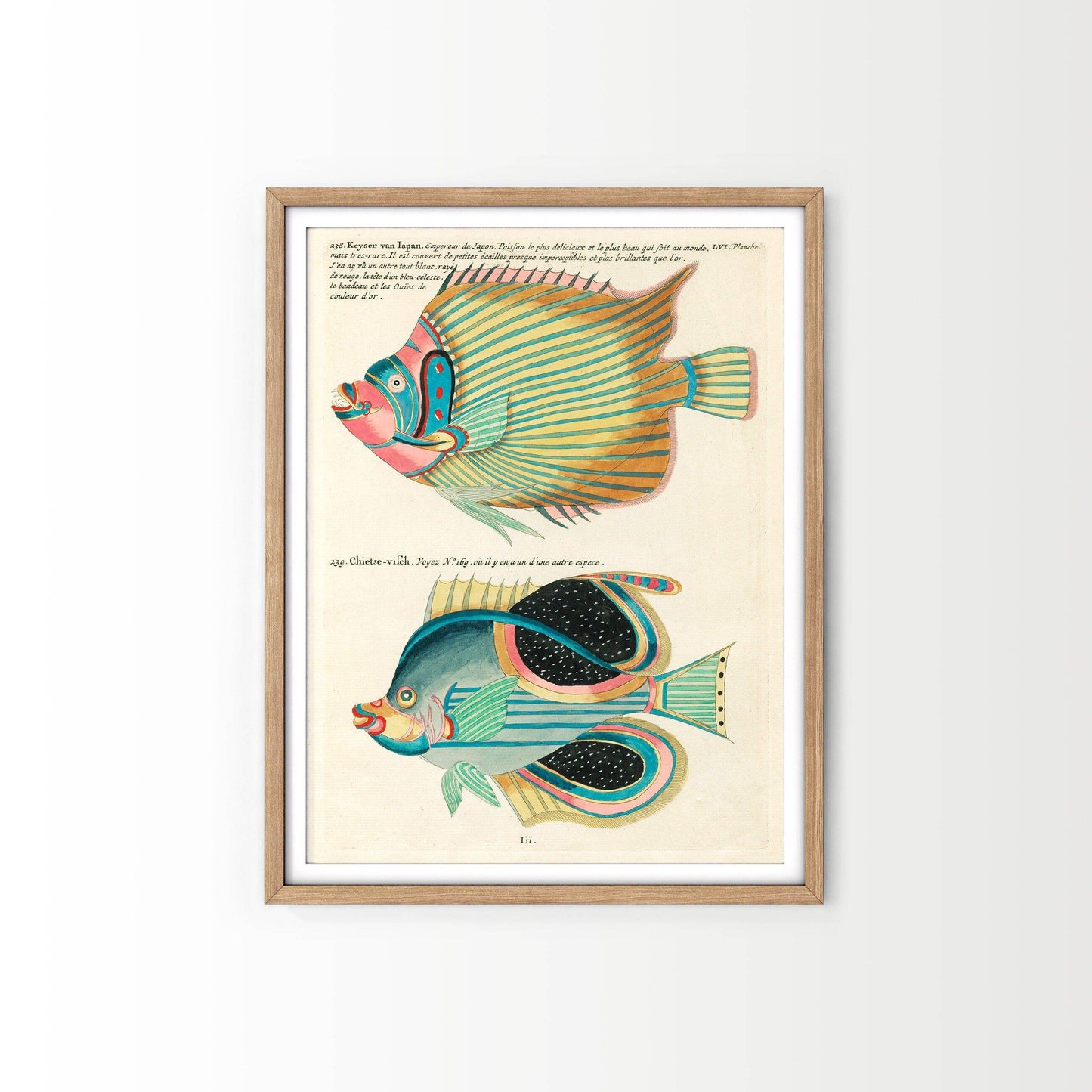 Vintage Under the Sea Poster, Coastal Wall Art, Fish Print