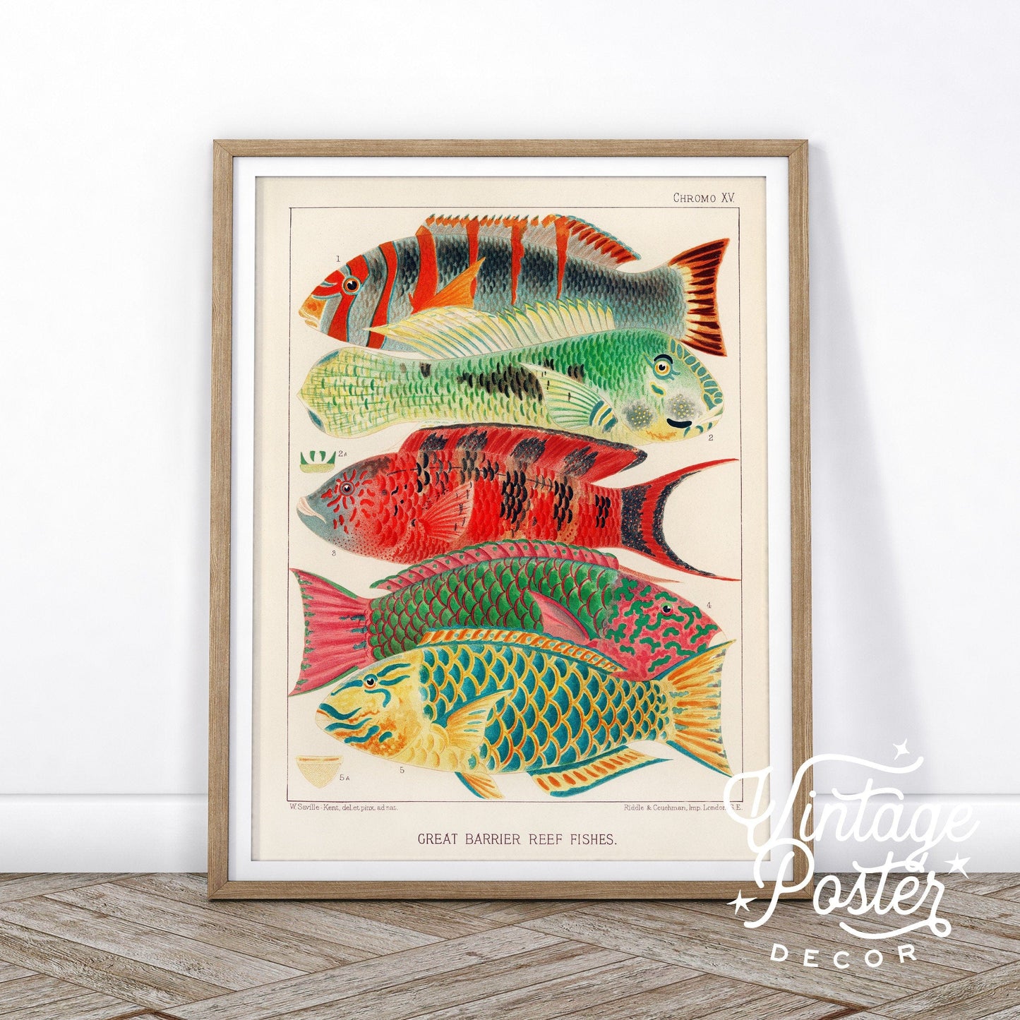 Vintage Under the Sea Poster, Coastal Wall Art, Fish Print