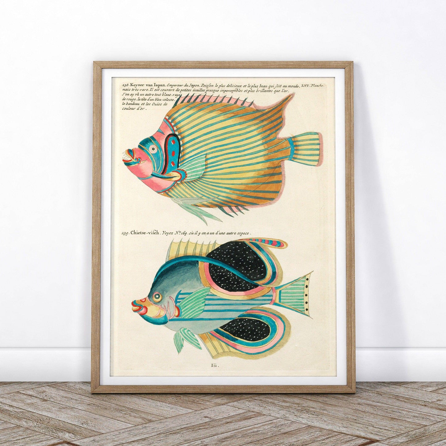 Vintage Under the Sea Poster, Coastal Wall Art, Fish Print
