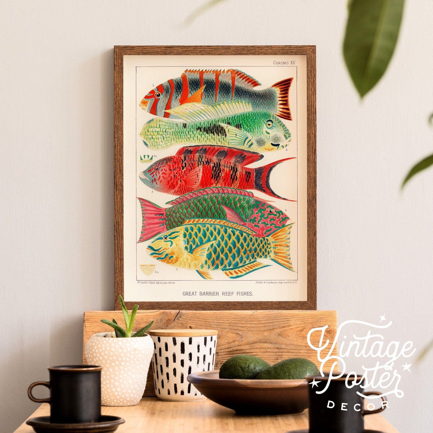 Vintage Under the Sea Poster, Coastal Wall Art, Fish Print