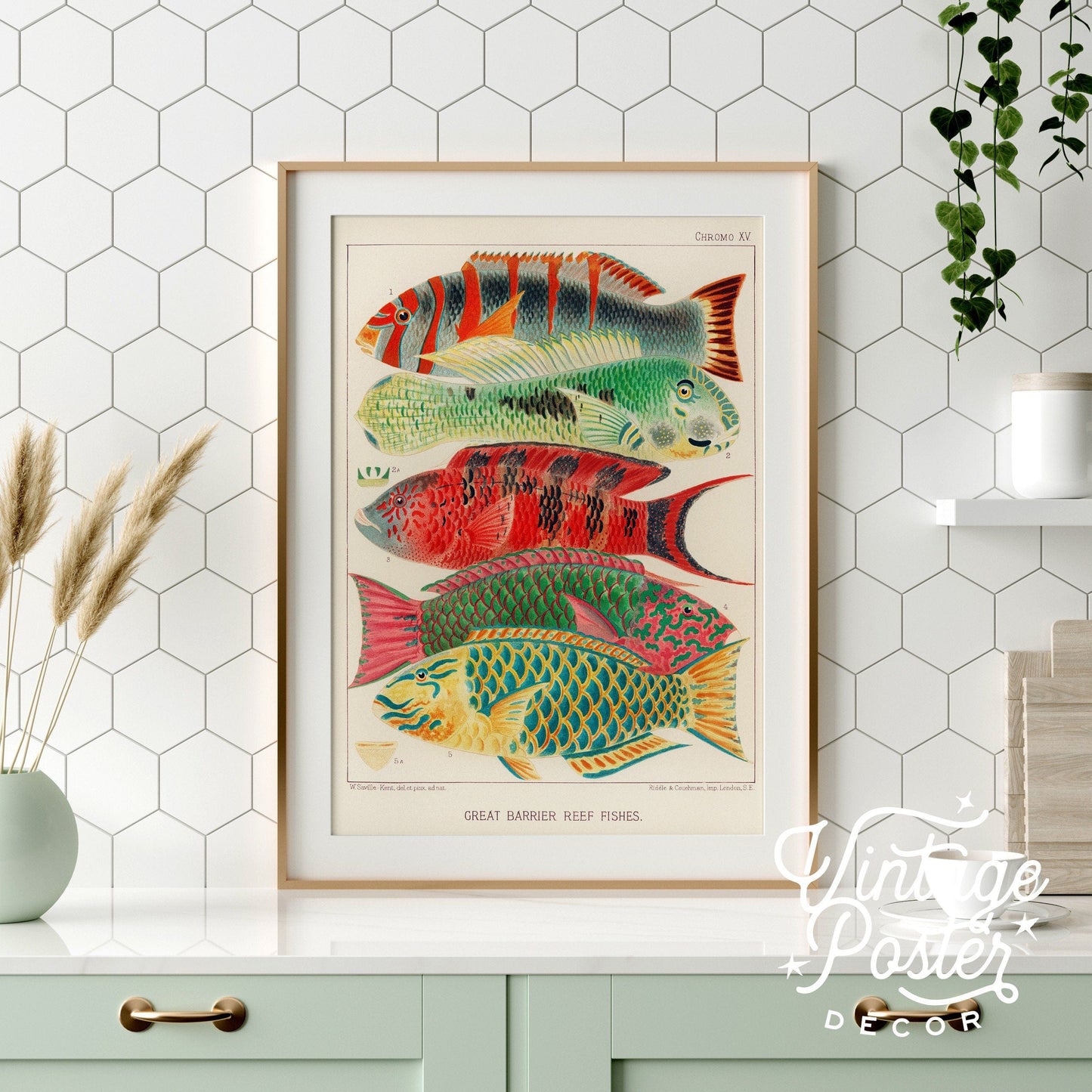 Vintage Under the Sea Poster, Coastal Wall Art, Fish Print
