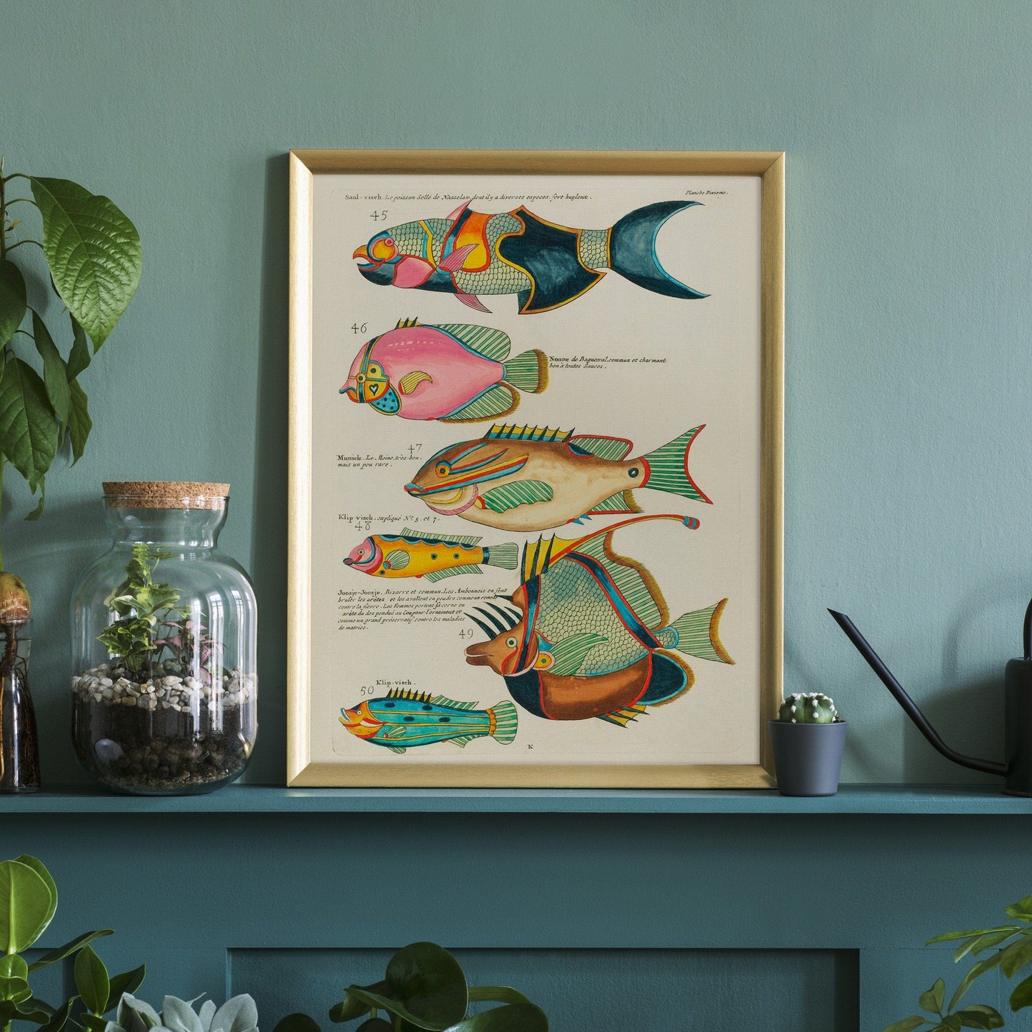 Vintage Under the Sea Poster, Coastal Wall Art, Fish Print