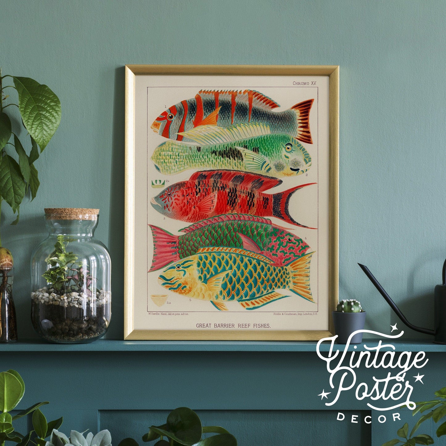 Vintage Under the Sea Poster, Coastal Wall Art, Fish Print