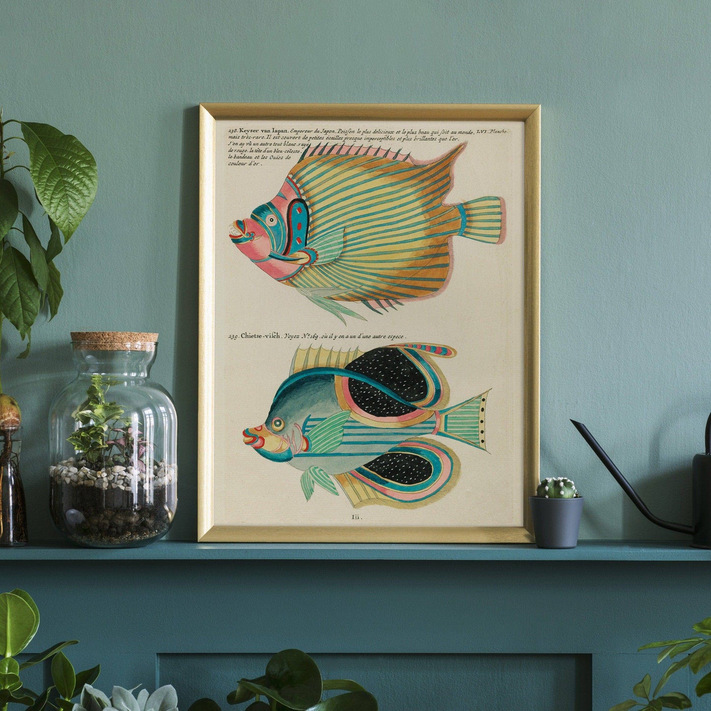 Vintage Under the Sea Poster, Coastal Wall Art, Fish Print