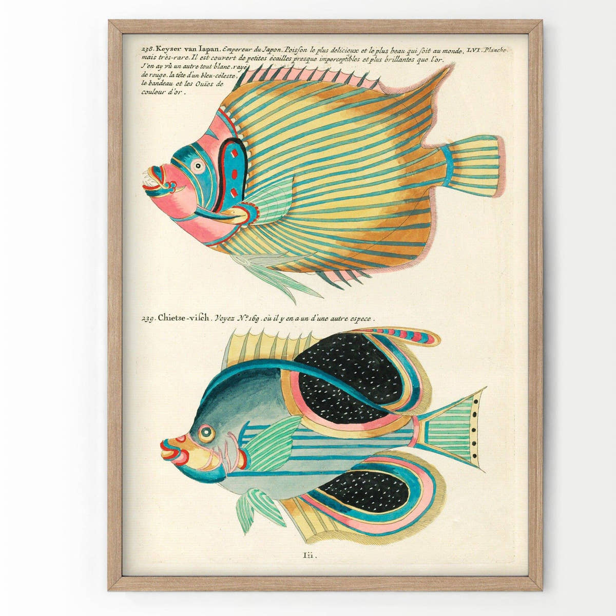 Vintage Under the Sea Poster, Coastal Wall Art, Fish Print