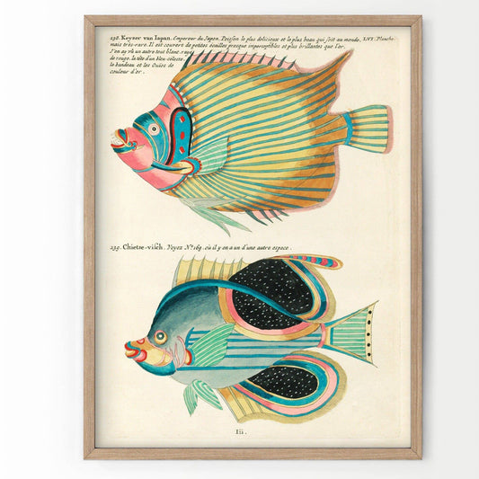 Vintage Under the Sea Poster, Coastal Wall Art, Fish Print