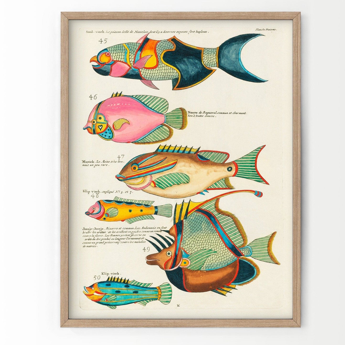 Vintage Under the Sea Poster, Coastal Wall Art, Fish Print