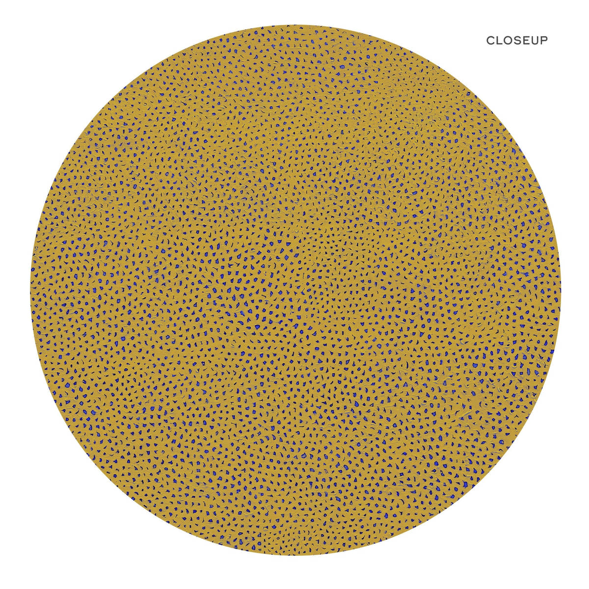 Yayoi Kusama Dot Prints, Contemporary Wall Decor, Set of 2 Wall Art