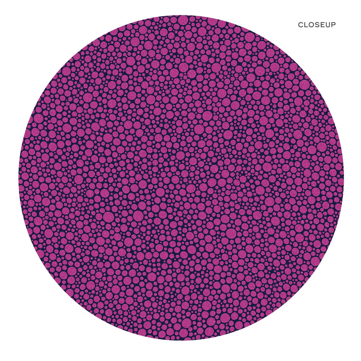Yayoi Kusama Dot Prints, Contemporary Wall Decor, Set of 2 Wall Art