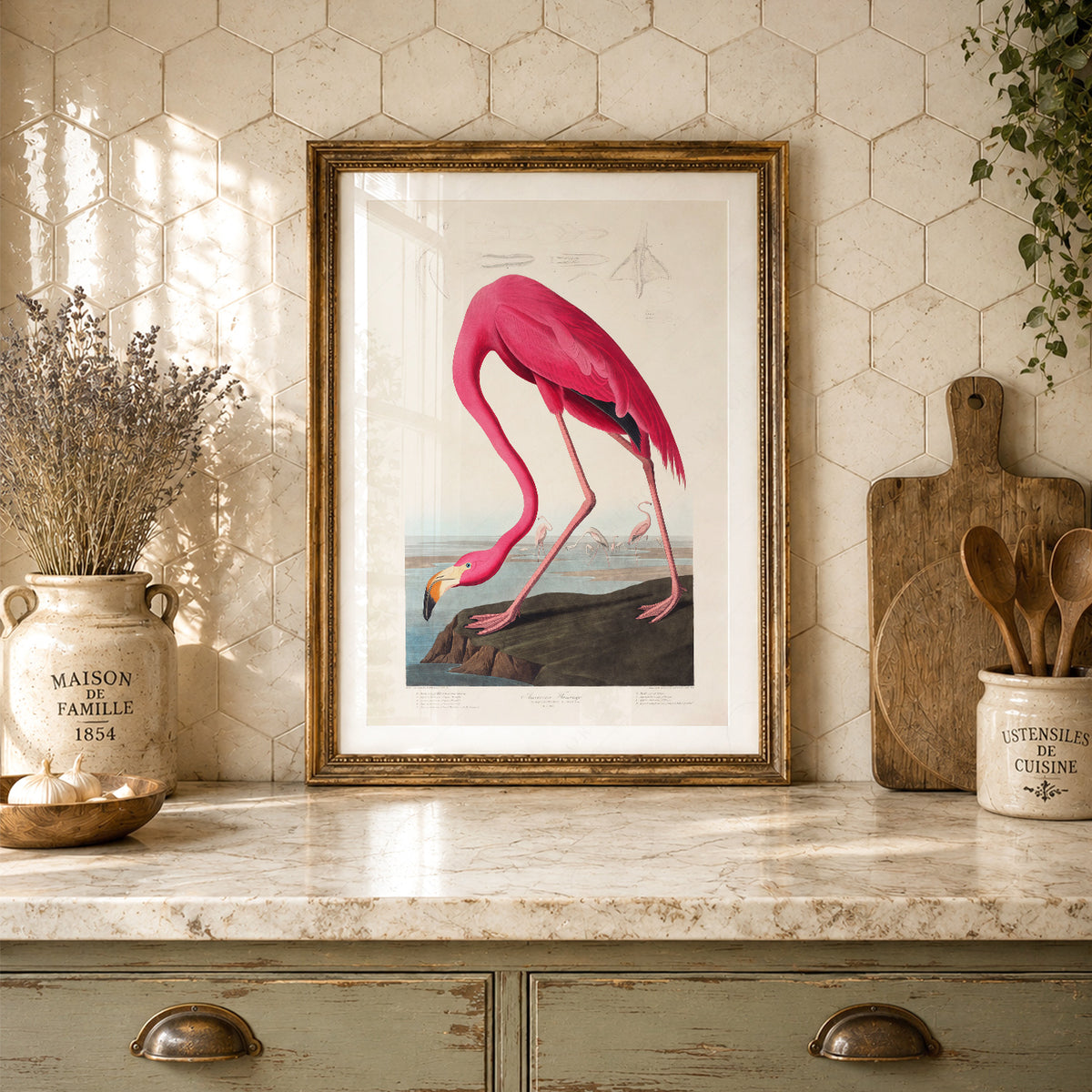 John James Audubon American Flamingo Print – Vintage Bird Wall Art – 02-02 — artwork preview 24