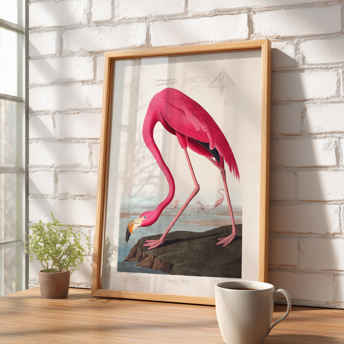 John James Audubon American Flamingo Print – Vintage Bird Wall Art – 02-02 — artwork preview 16