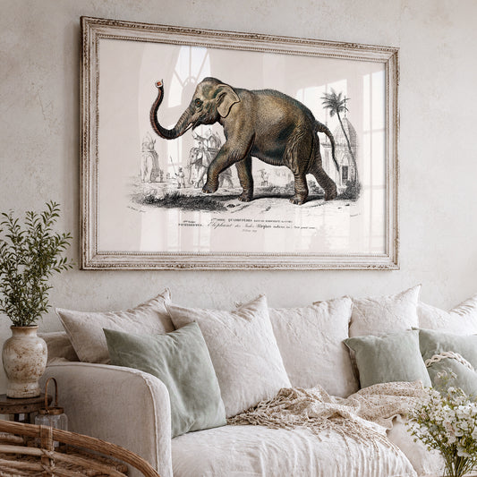 Charles Dessalines Indian Elephant Print – Vintage Natural History Wall Art – 01-04 — artwork preview 3