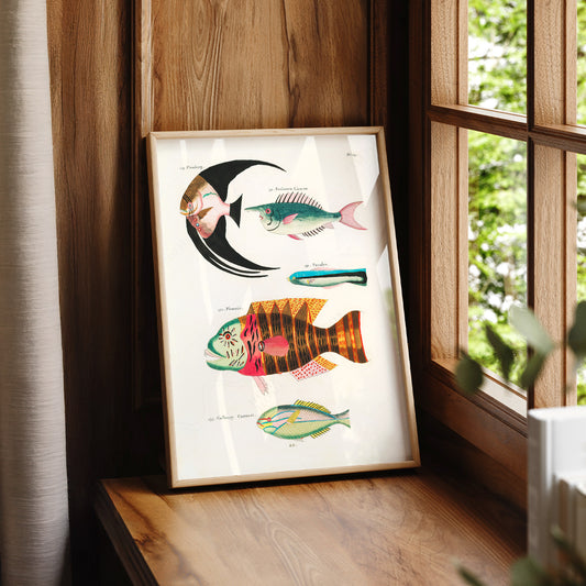 Vintage Fish Illustration Print – Antique Marine Life Wall Art Poster – 01-05 — artwork preview 7