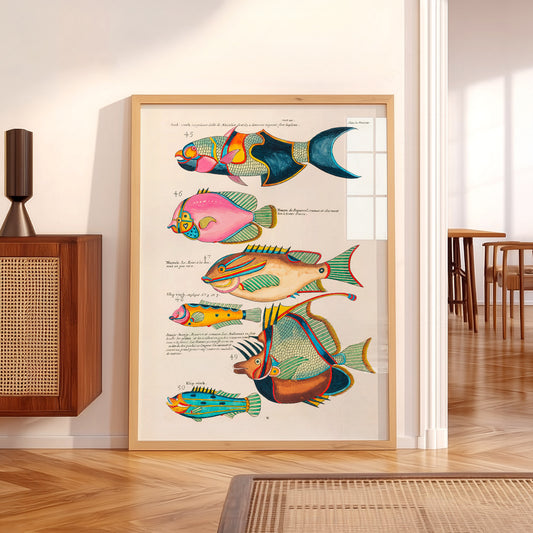 Vintage Fish Illustration Print – Antique Natural History Coastal Wall Art – 01-01 — artwork preview 5