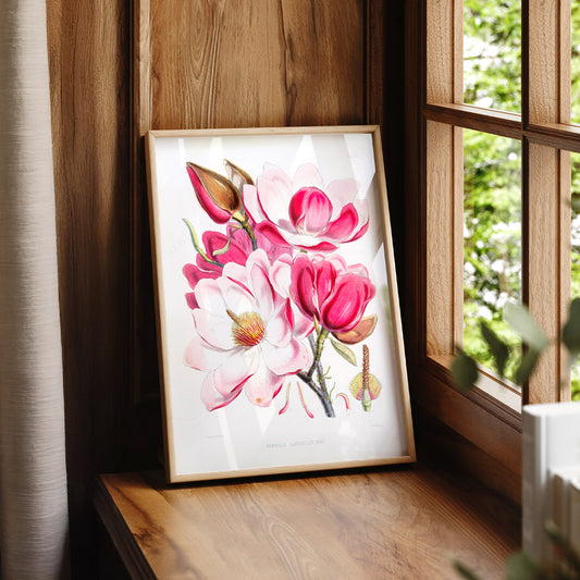 Vintage Magnolia Botanical Print – Pink Floral Wall Art Poster – 04-06 — artwork preview 7