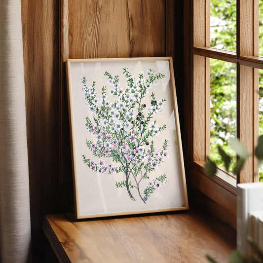 Vintage Manuka Flower Botanical Print – Antique Floral Wall Art Poster – 04-10 — artwork preview 7