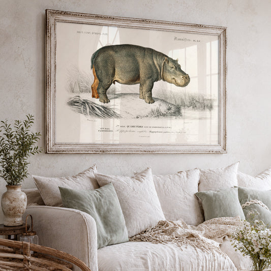 Vintage Hippopotamus Print – Antique Natural History Poster Wall Art – 01-05 — artwork preview 3