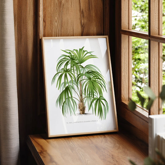 Vintage Palm Tree Botanical Print – Tropical Wall Art Coastal Decor – 33-01 — artwork preview 7