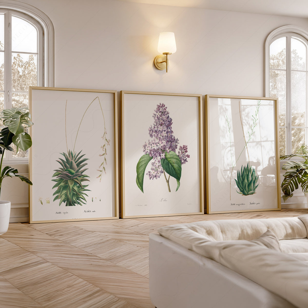 Botanical Gallery Wall Art Set of 3 Prints – Vintage Aloe & Lilac Poster – 0-06 — artwork preview 5