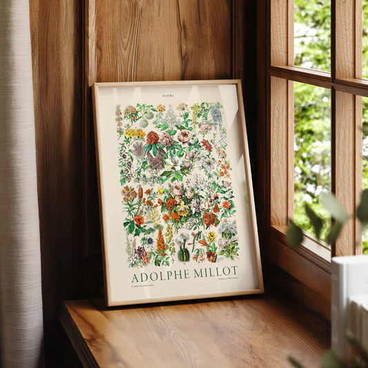 Adolphe Millot Fleurs Botanical Print – Vintage Flower Wall Art Poster – 12-02 — artwork preview 7