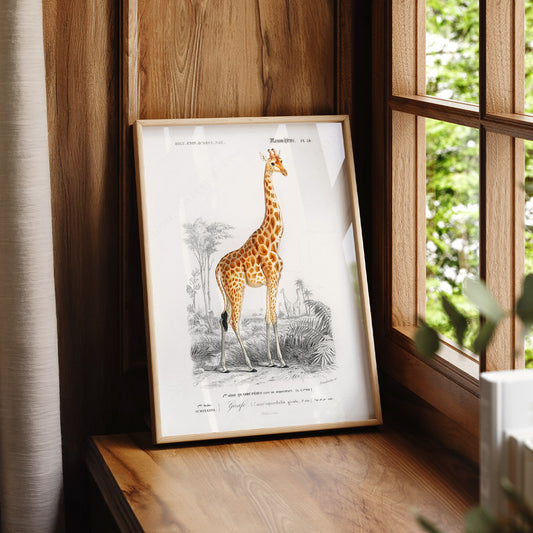 Charles Dessalines Giraffe Print – Vintage Natural History Wall Art Poster – 01-03 — artwork preview 7