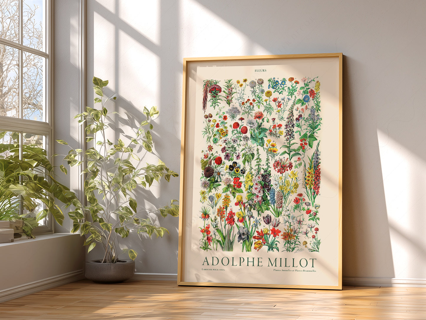 Adolphe Millot Poster, Vintage Floral Illustration Prints