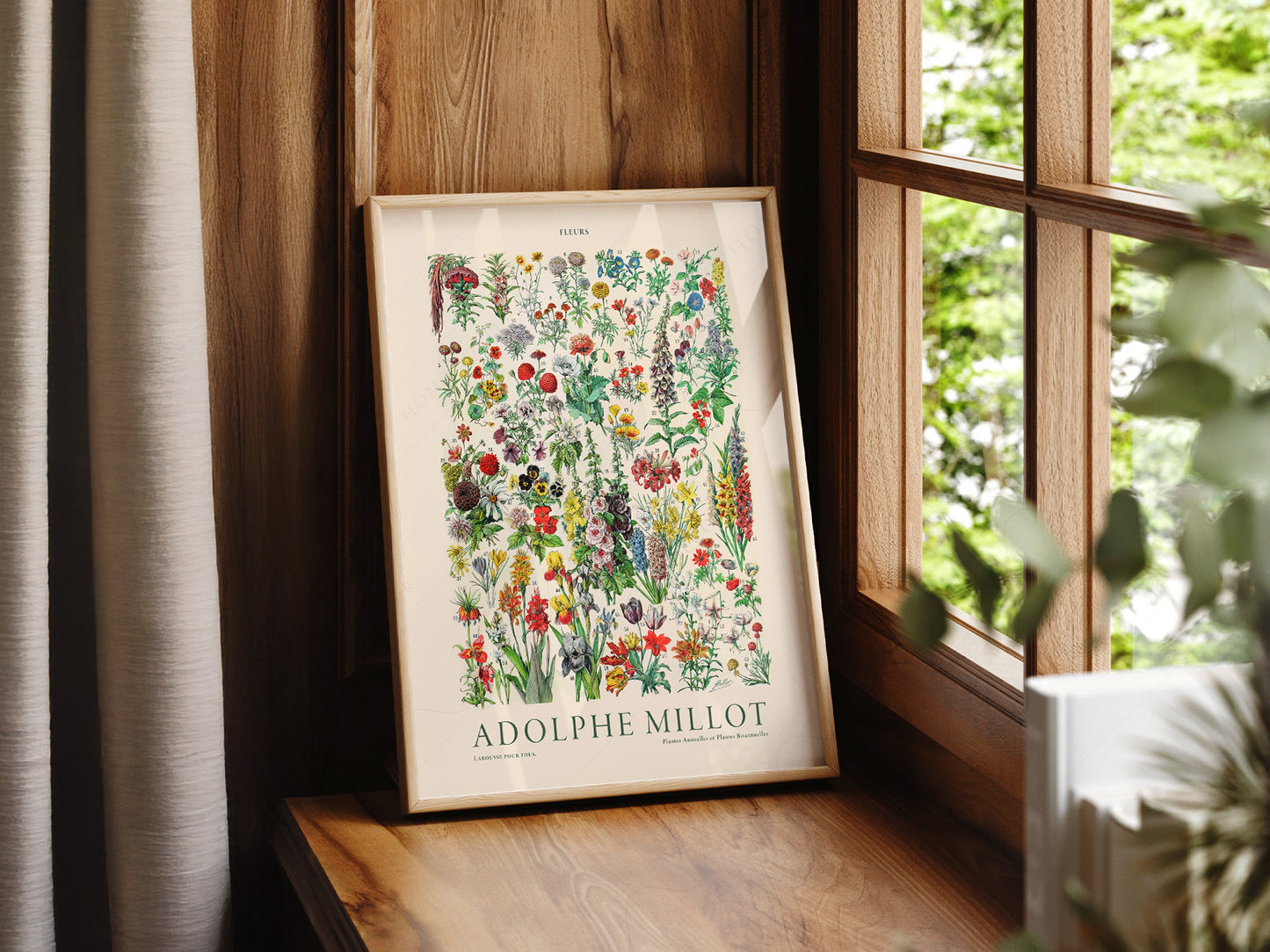 Adolphe Millot Poster, Vintage Floral Illustration Prints