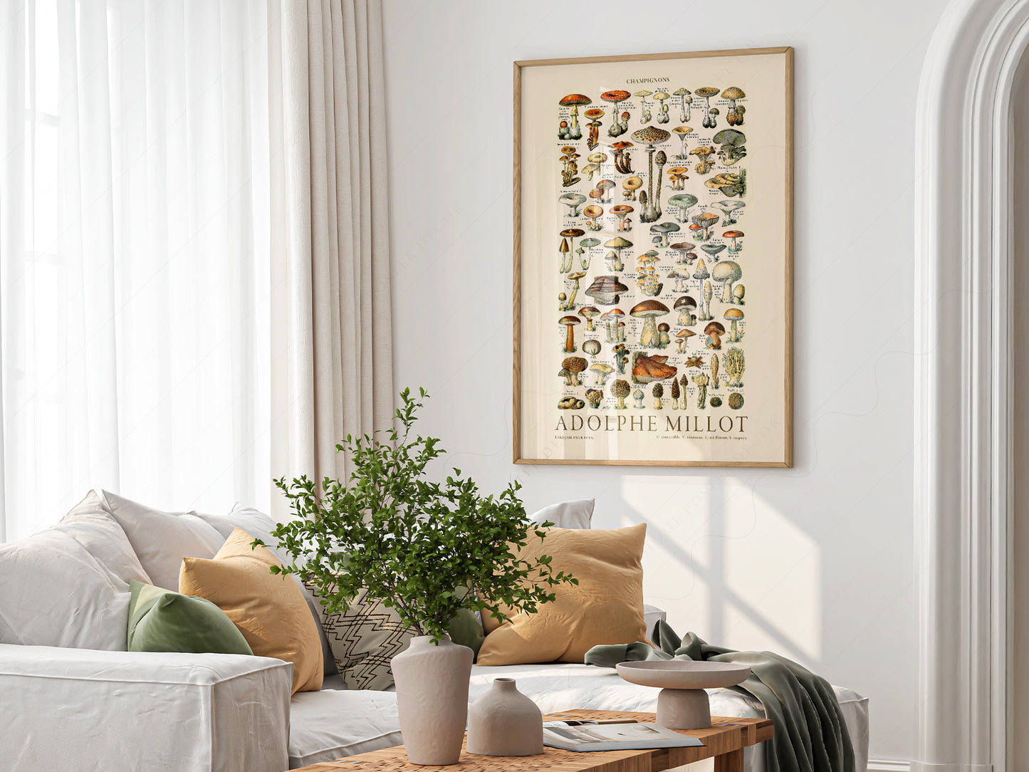 Adolphe Millot Poster, Vintage Mushrooms Champignons Print