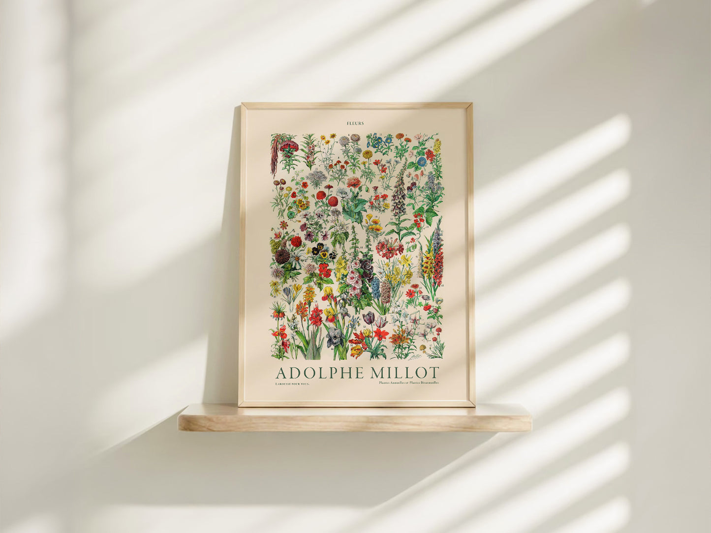 Adolphe Millot Poster, Vintage Floral Illustration Prints