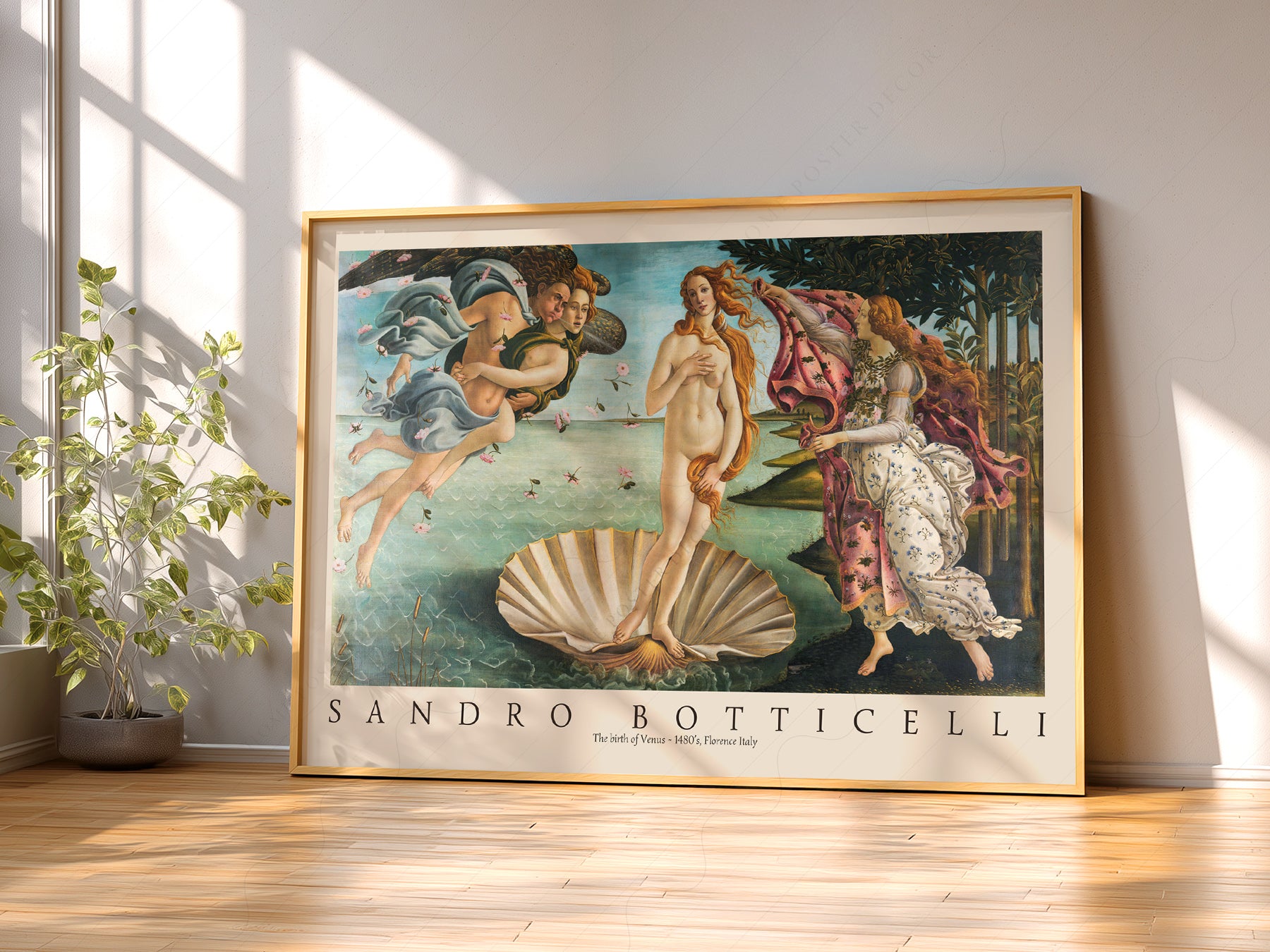 Sandro Botticelli The Birth of Venus wall art in a cozy home study or reading room