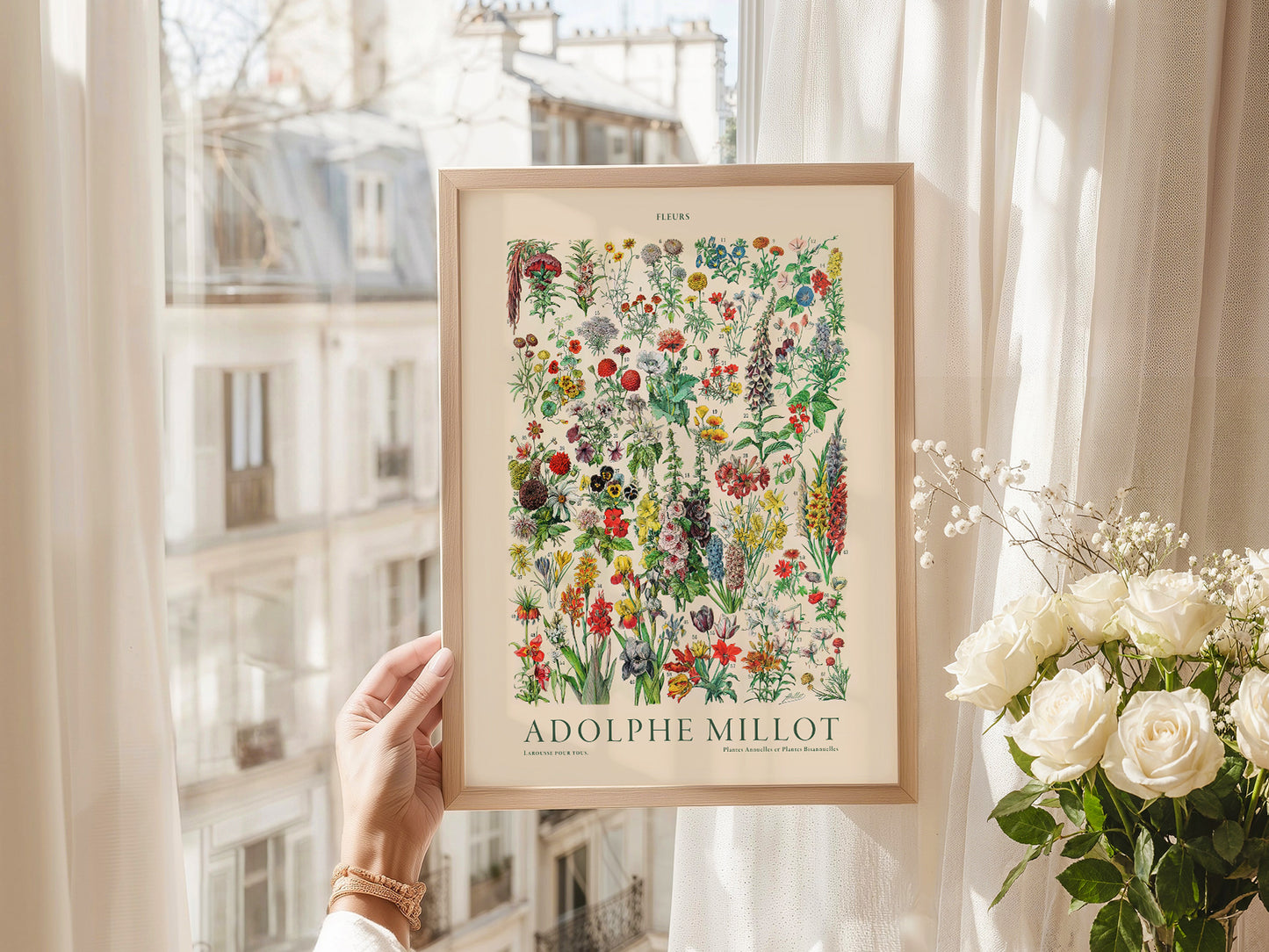 Adolphe Millot Poster, Vintage Floral Illustration Prints