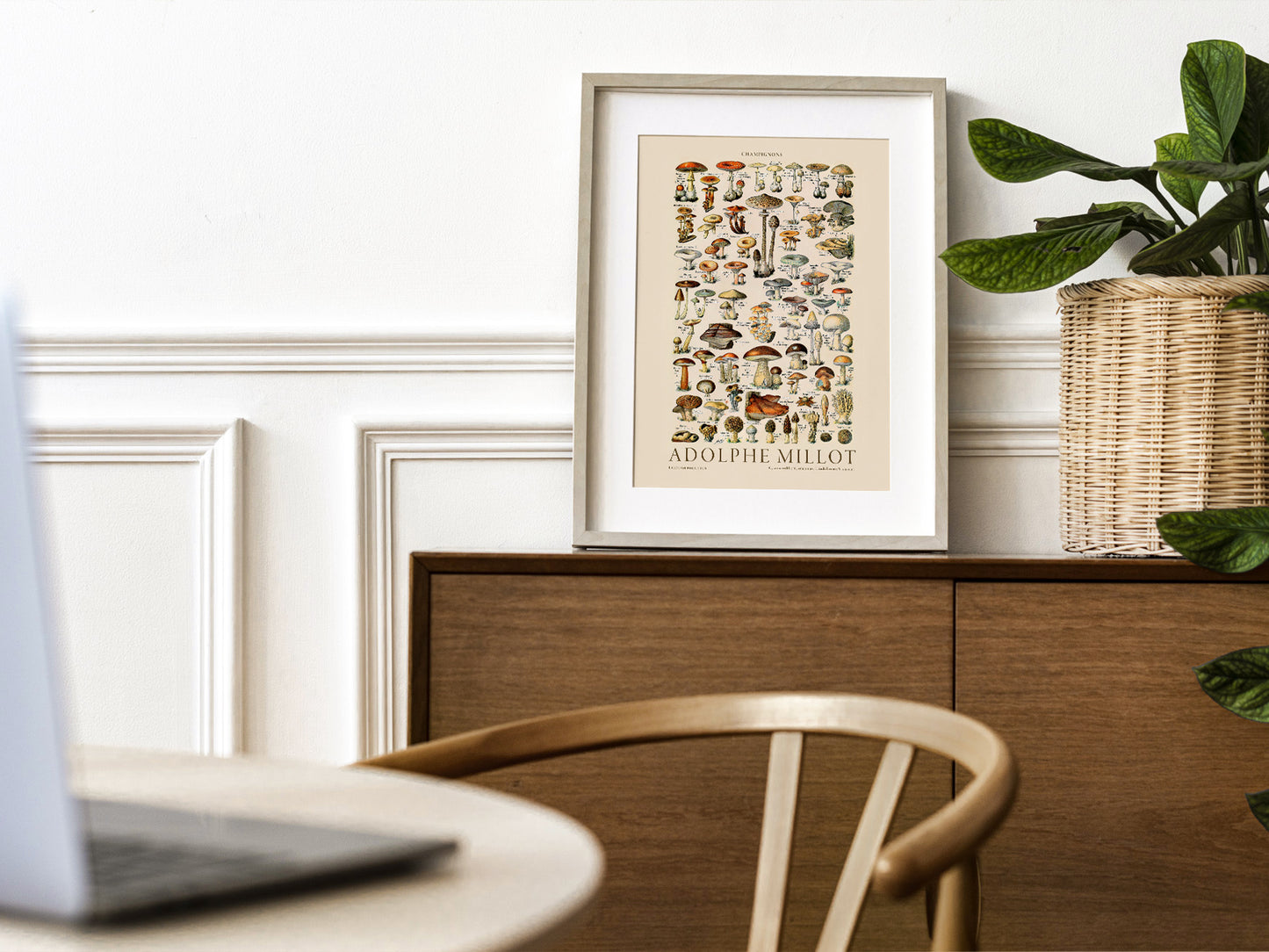 Adolphe Millot Poster, Vintage Mushrooms Champignons Print