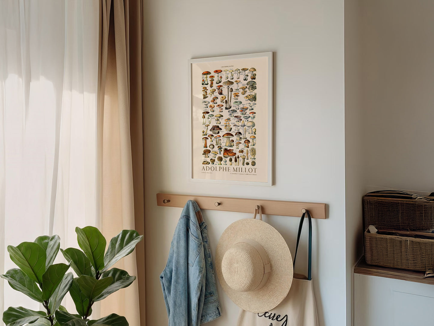 Adolphe Millot Poster, Vintage Mushrooms Champignons Print