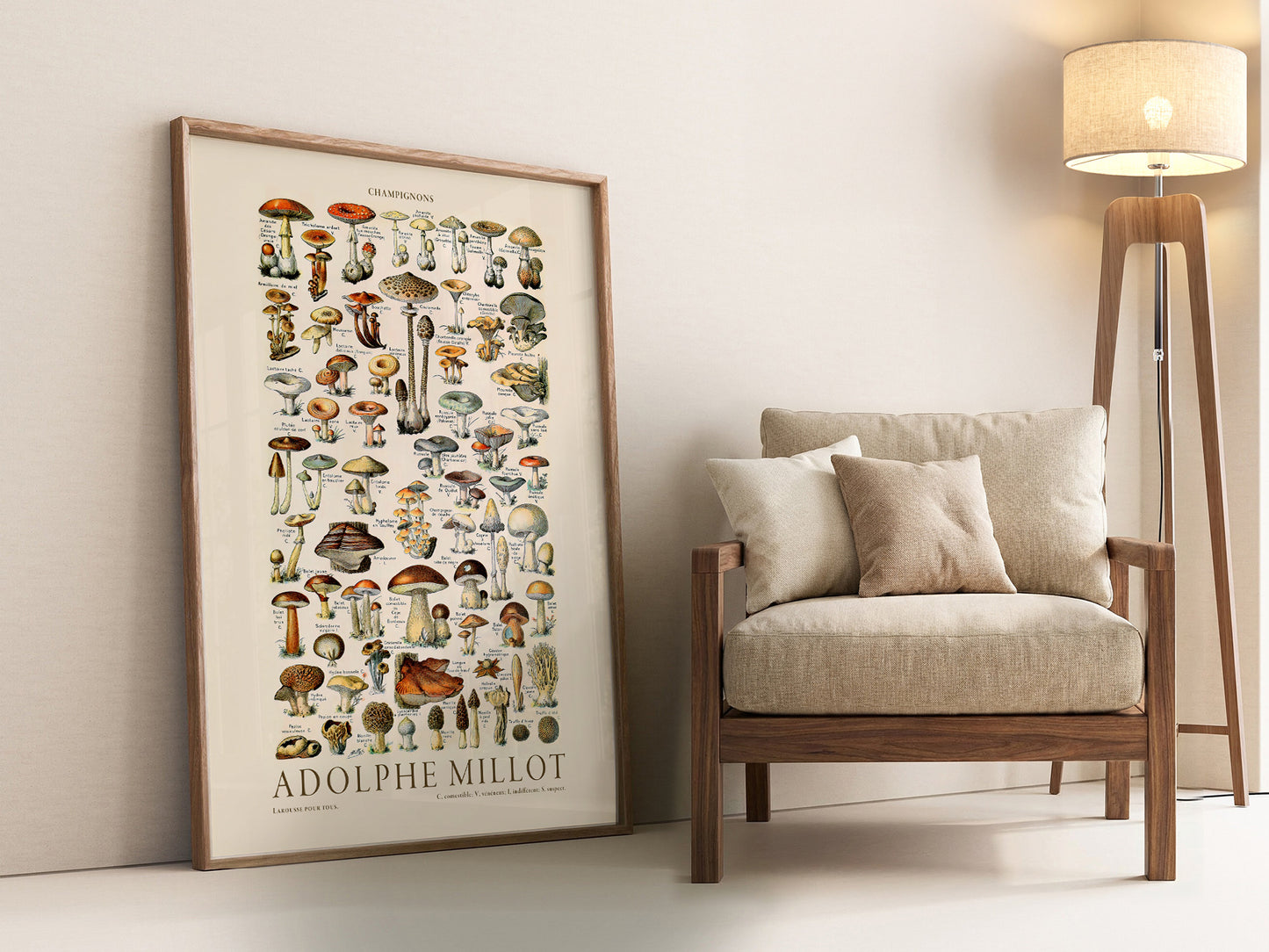 Adolphe Millot Poster, Vintage Mushrooms Champignons Print