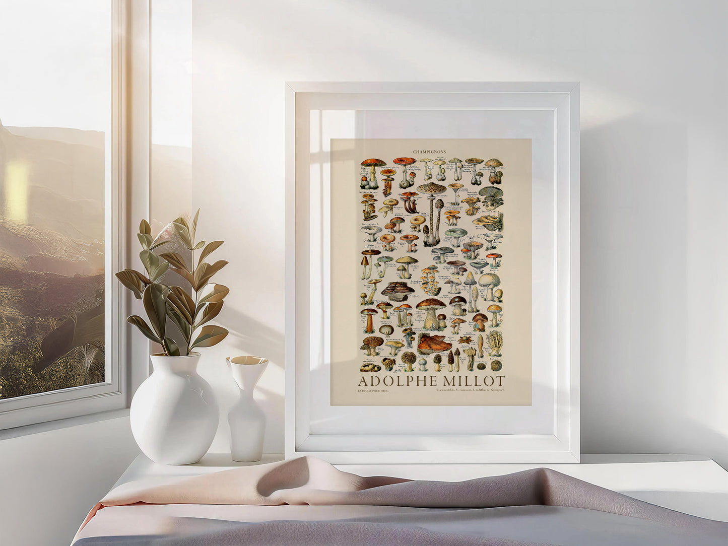 Adolphe Millot Poster, Vintage Mushrooms Champignons Print