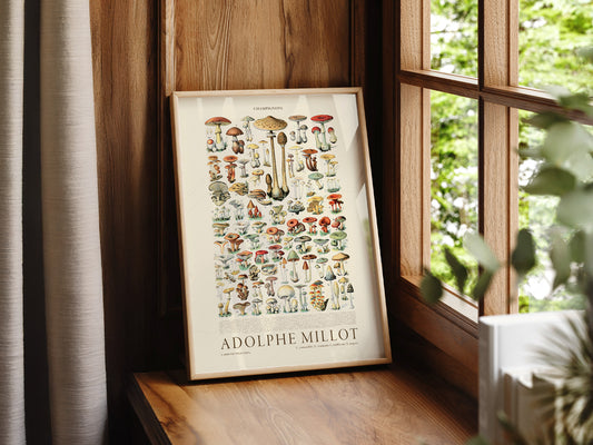 Adolphe Millot Poster, Vintage Mushrooms Illustration Prints