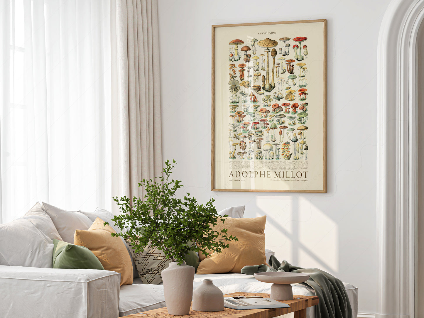 Adolphe Millot Poster, Vintage Mushrooms Illustration Prints