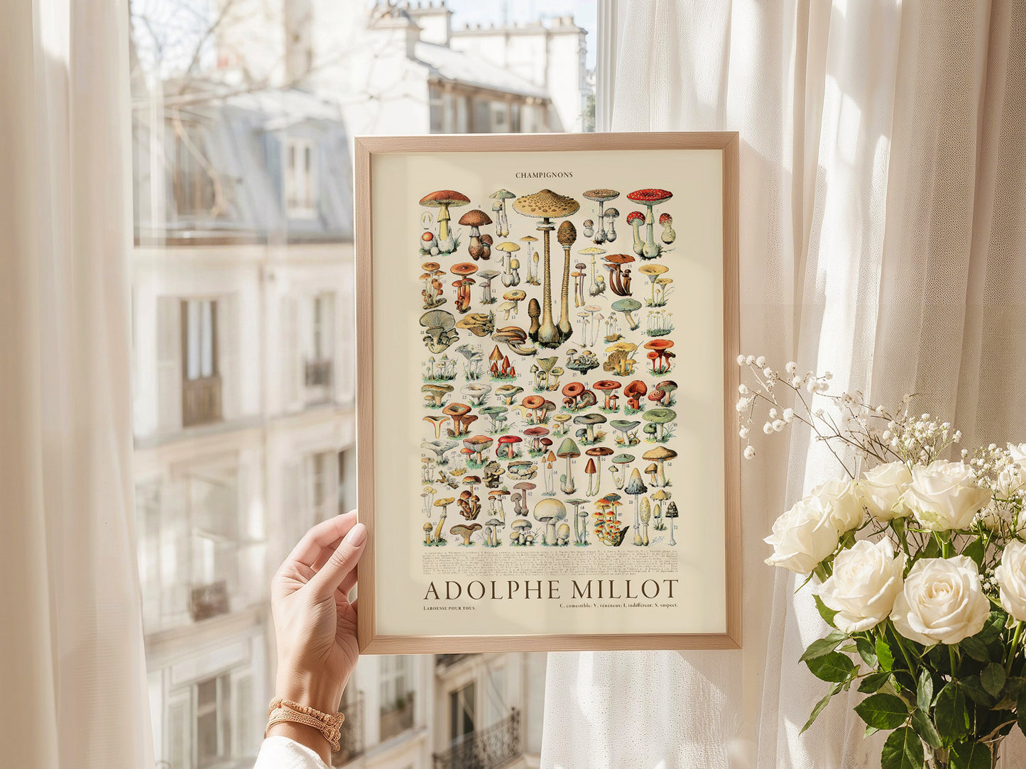 Adolphe Millot Poster, Vintage Mushrooms Illustration Prints