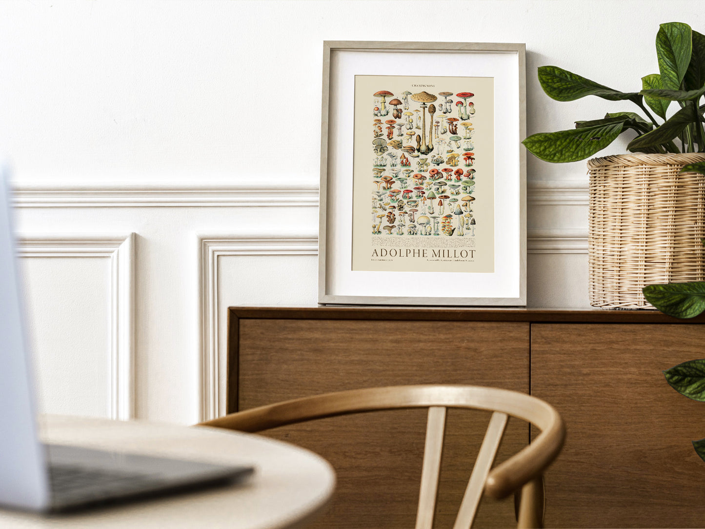 Adolphe Millot Poster, Vintage Mushrooms Illustration Prints