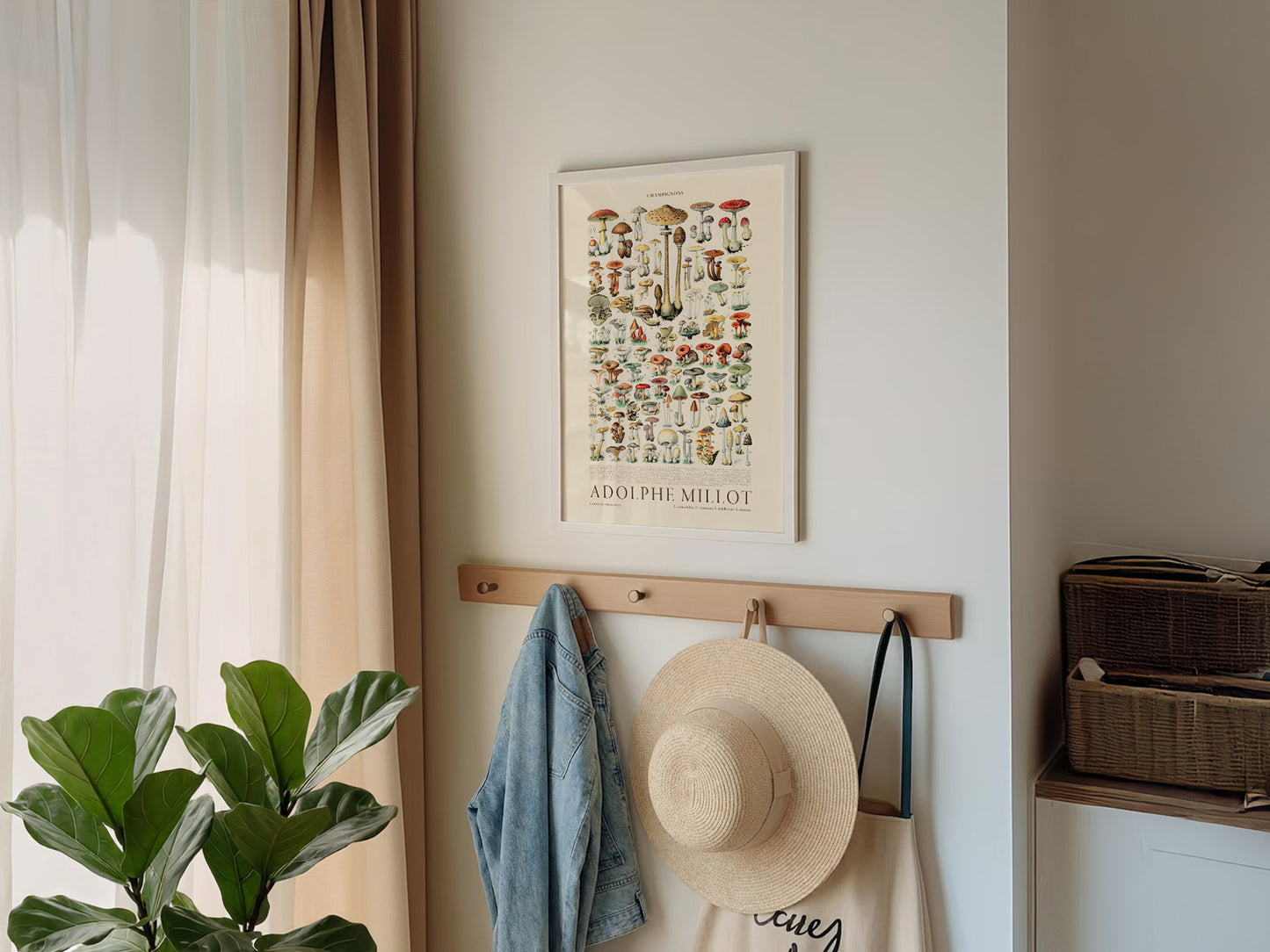 Adolphe Millot Poster, Vintage Mushrooms Illustration Prints