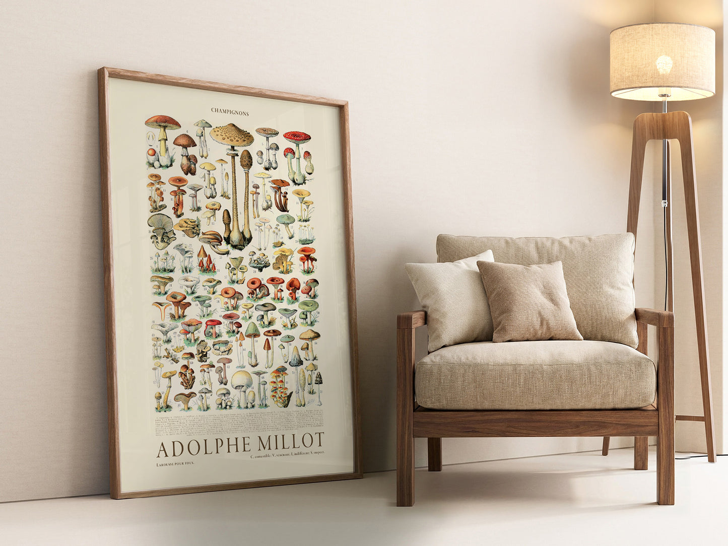 Adolphe Millot Poster, Vintage Mushrooms Illustration Prints