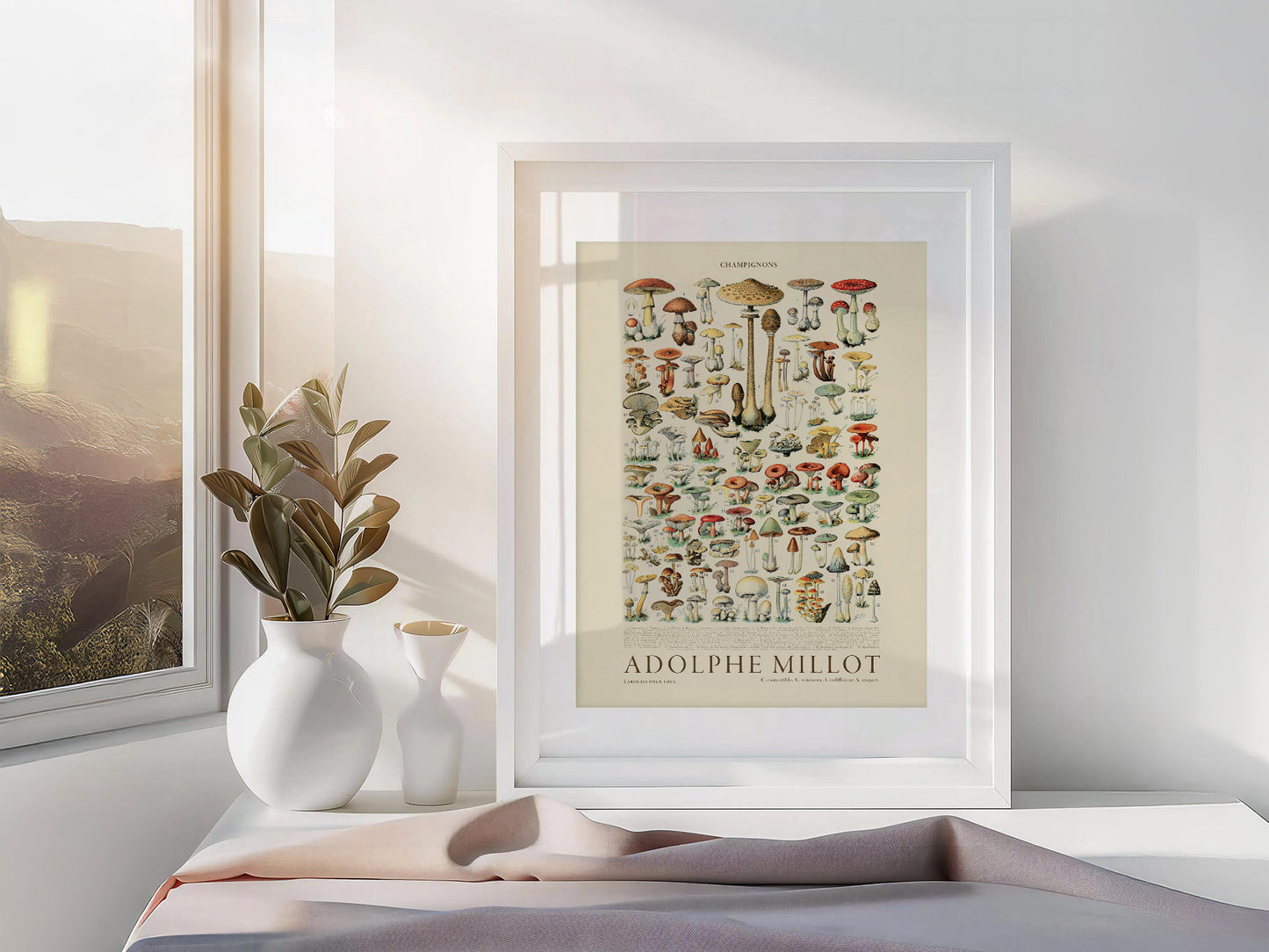 Adolphe Millot Poster, Vintage Mushrooms Illustration Prints